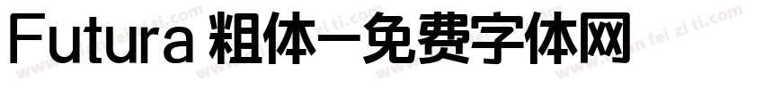 Futura 粗体字体转换